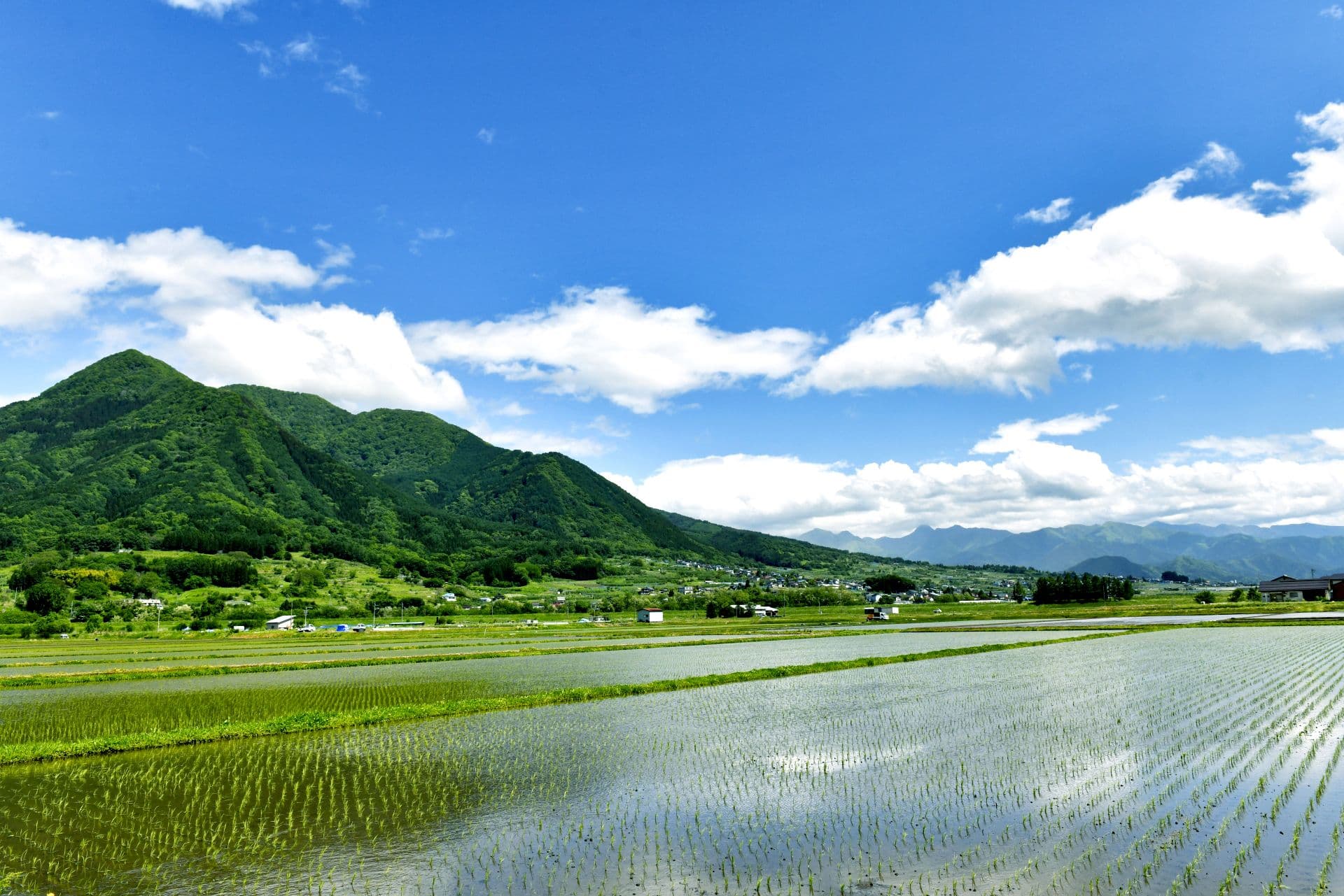 長野県の田園風景と山々